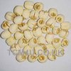 Lian Zi / Lotus Seeds / Nelumbinis Semen (100g)