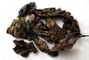 Da Qing Ye / Indigowoad Leaf Folium Daqingye (250g)
